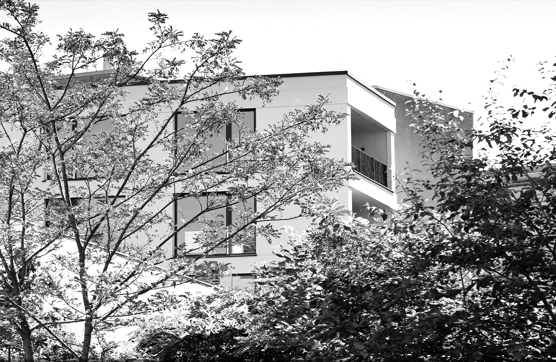 Bild Petersen Architekten Berlin
